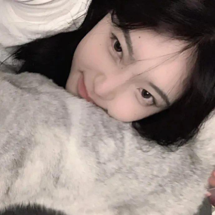 大贼与金丝猫